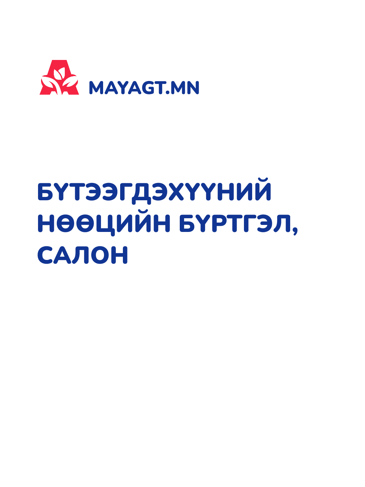 БҮТЭЭГДЭХҮҮНИЙ НӨӨЦИЙН БҮРТГЭЛ, Салон