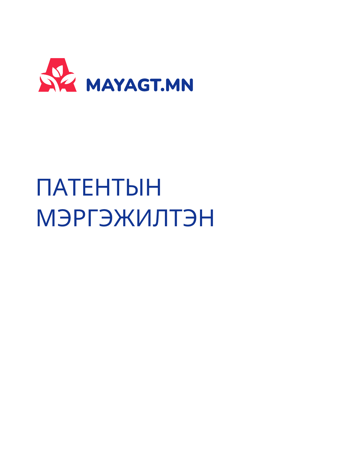 ПАТЕНТЫН МЭРГЭЖИЛТЭН
