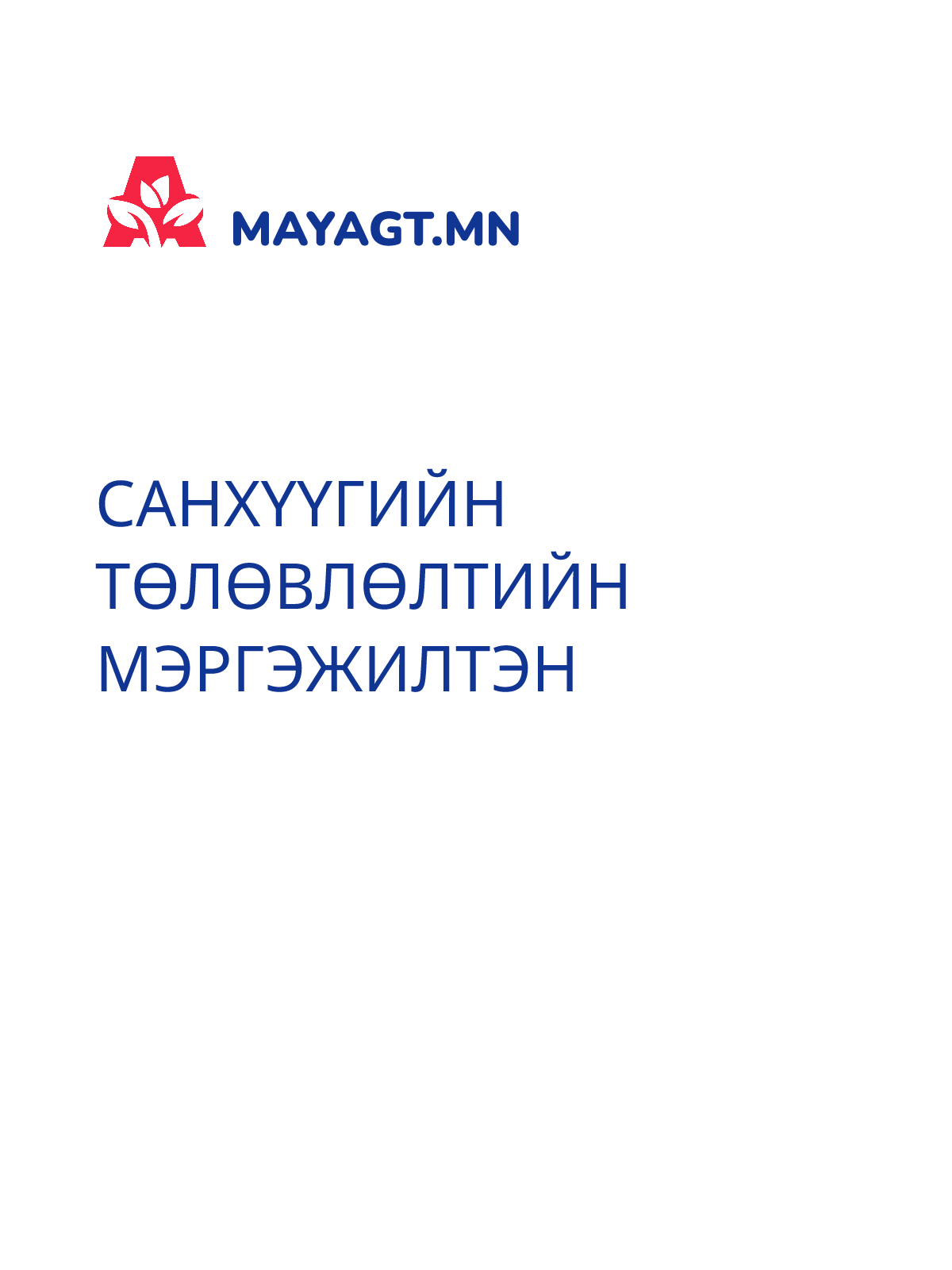 САНХҮҮГИЙН ТӨЛӨВЛӨЛТИЙН МЭРГЭЖИЛТЭН
