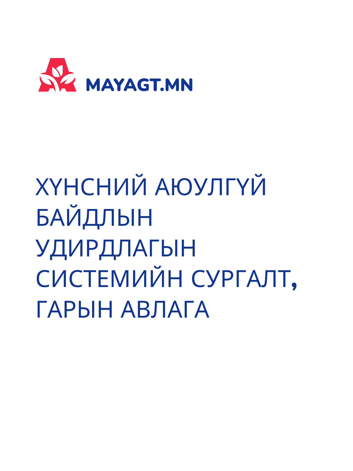 ХҮНСНИЙ АЮУЛГҮЙ БАЙДЛЫН УДИРДЛАГЫН СИСТЕМИЙН СУРГАЛТ, Гарын авлага