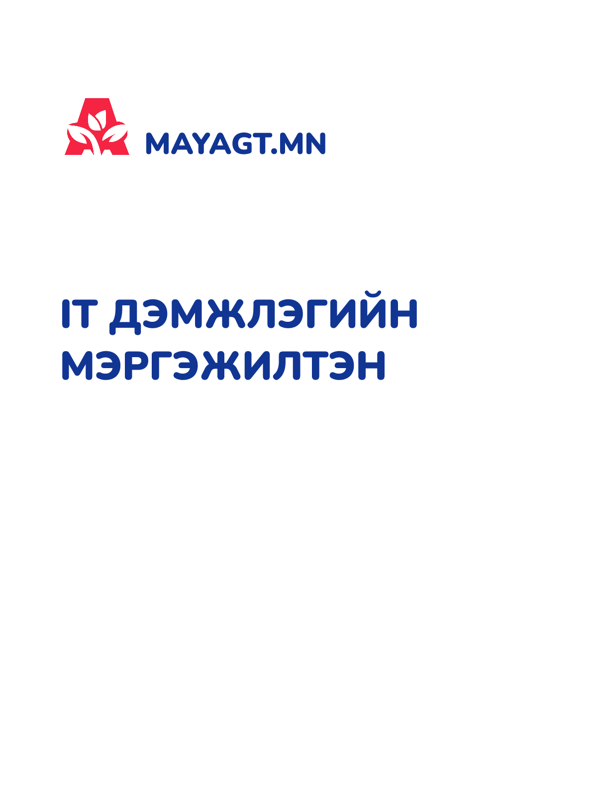 IT ДЭМЖЛЭГИЙН МЭРГЭЖИЛТЭН